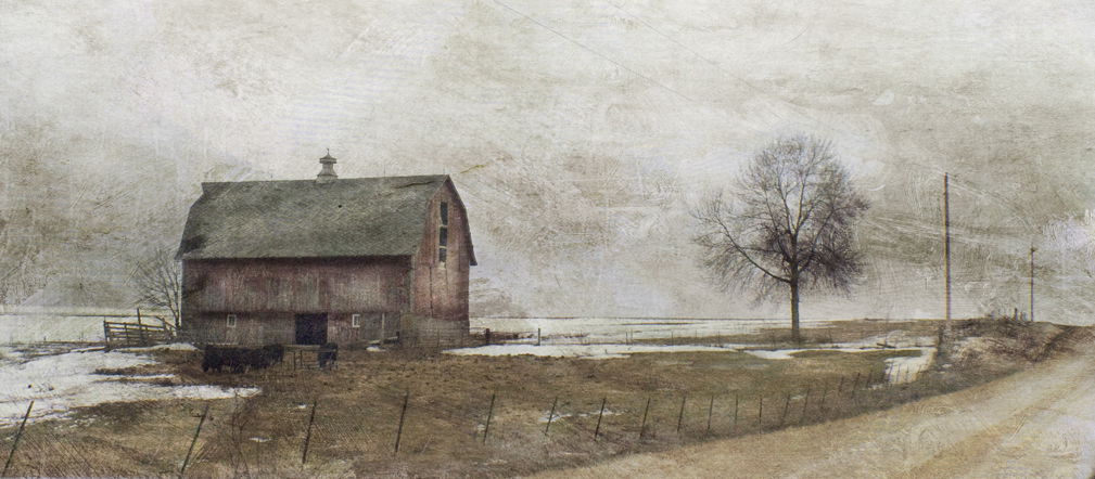 my wisconsin horizon copy